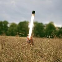 Campwerk Lampe de Camping LED RGB avec Powerbank IP68